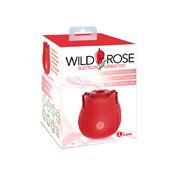 Wild Rose Classic Rose