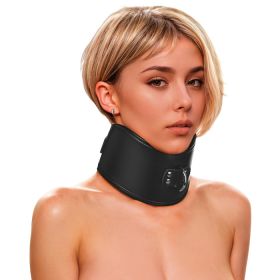 Master Series Padded Lock Posture Collar