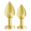 Rianne S 2pc Booty Plug Luxury Set Gold