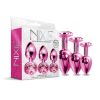 Nixie Metal Butt Plug Trainer Set Pk Met